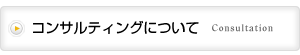 TOP-CONSUL-コンサルティングについて